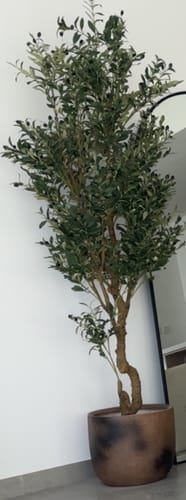 Customer photo review of Artificial Olive Tree with olives (Pot not included)