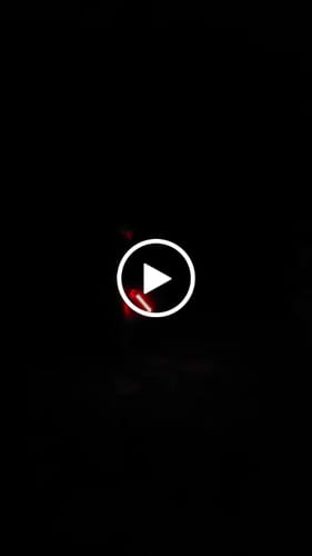 Customer video review of The Assassin