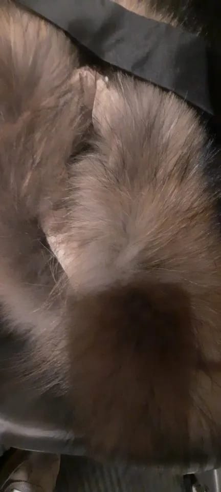 Customer photo review of Raccoon Fur Collar Coat With Hood — Natural | KIMLUD