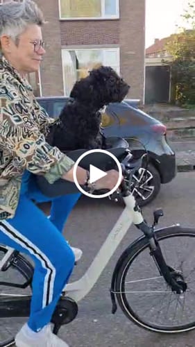 Customer video review of Kvisp Dog Bike Carrier
