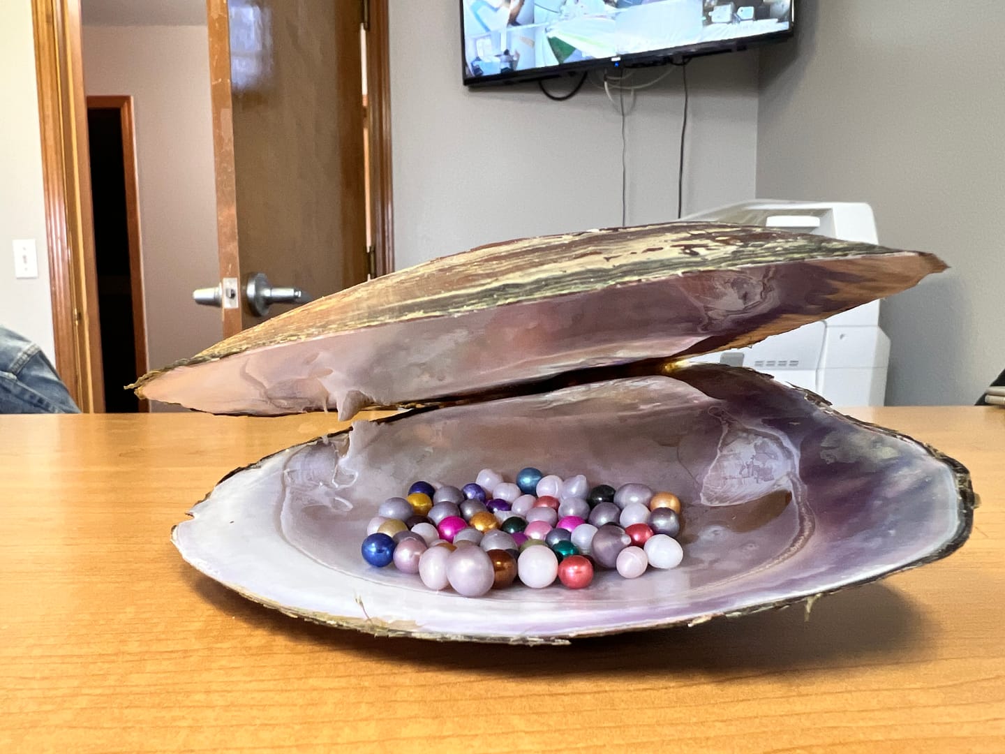Customer photo review of Monster Oyster - Rainbow Monster with Colorful Pearls and 20-40 Embedded Natural Pearls