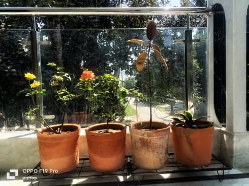 Customer photo review of United Crafts Indoor & Outdoor Rectangle Heavy Flower Pot Stand