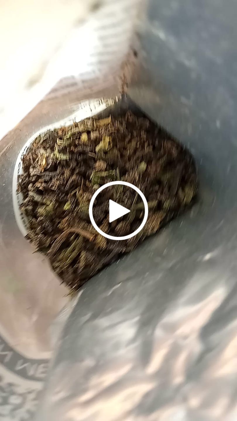 Customer video review of Exotic THCa Shake