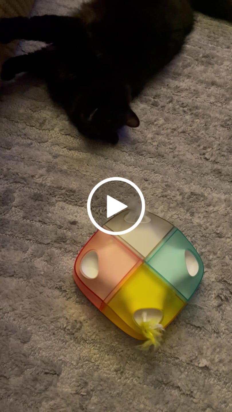 Customer video review of Michu MeowMate Little Monster Automatic Cat Toy