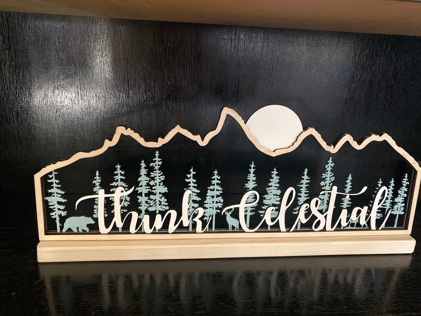 Customer photo review of Think Celestial Teton Mountains
