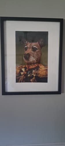 Customer photo review of The General - Custom Vintage Pet Portrait