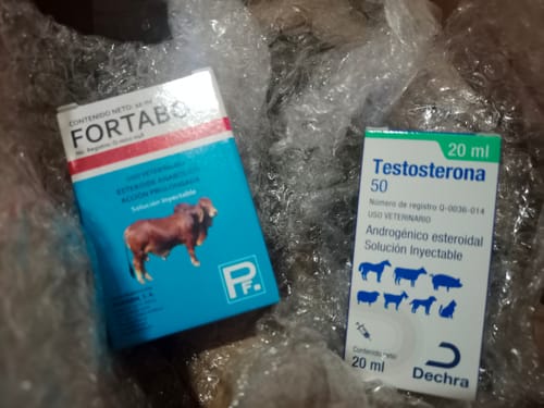 Customer photo review of Testosterona 50