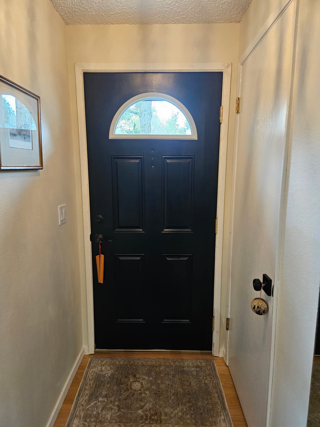 Customer photo review of Clear 1 Lite Glass and Frame Kit (Fanlite)