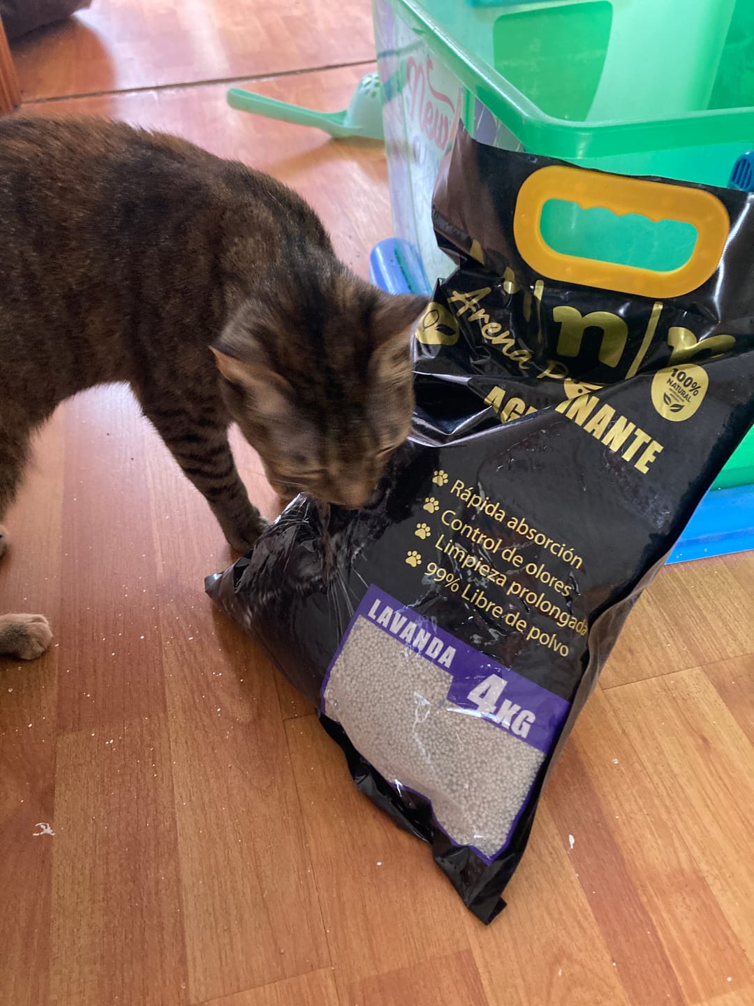 Customer photo review of Arena Minino Aglutinante 20kg