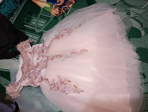 Customer photo review of Flower Girl Dress Girl Embroidery Birthday Party Pageant Formal Dresses