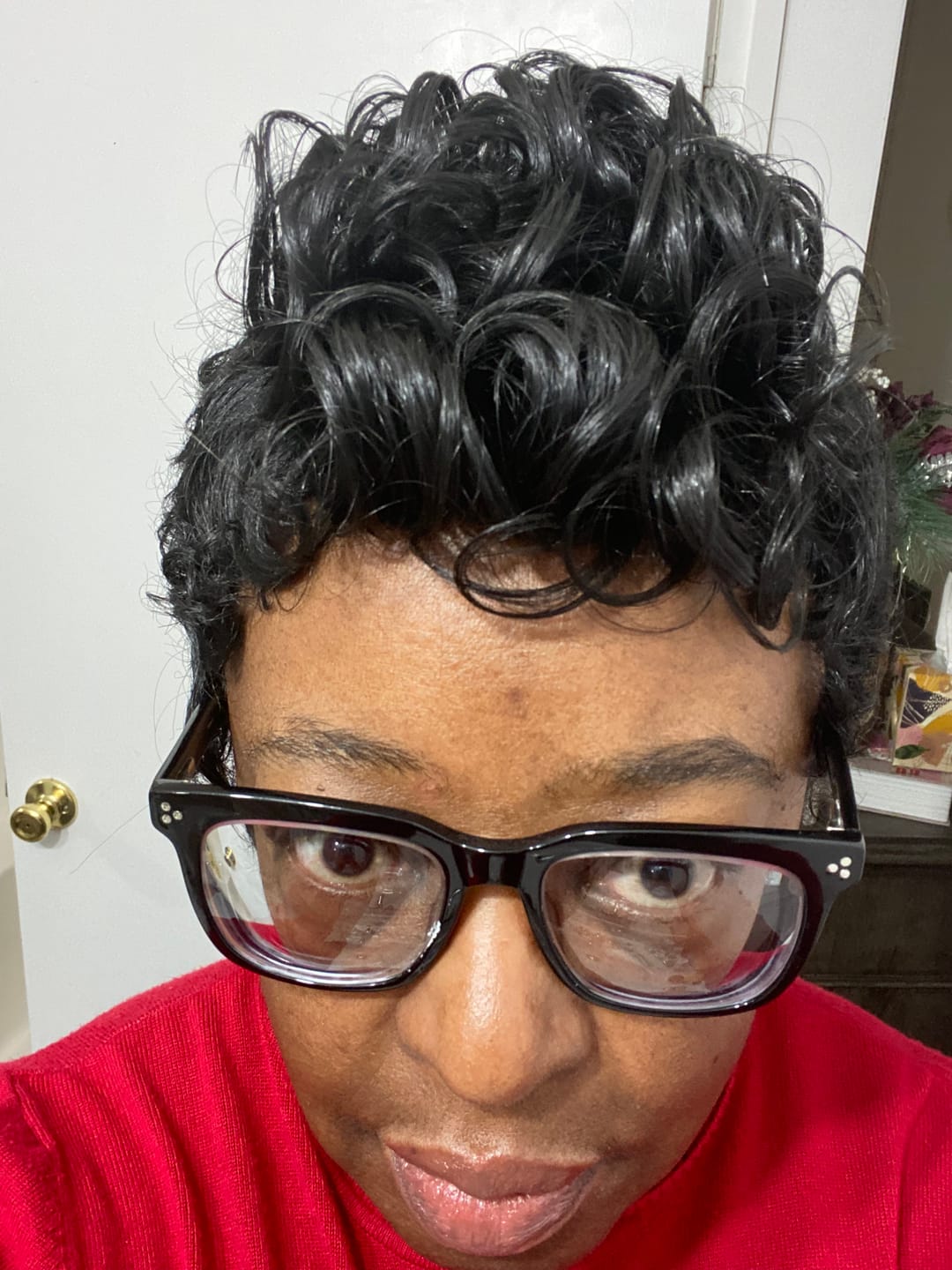 Customer photo review of It's a Wig Full Wig - ELISE