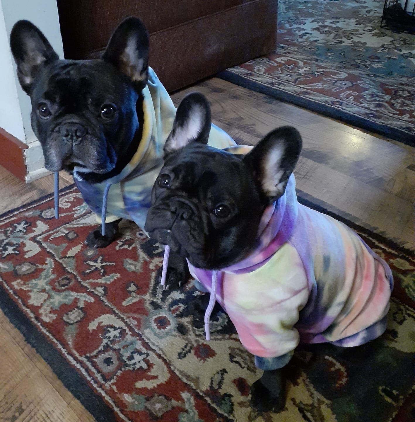 Customer photo review of Velvet Human Hoodie - Berry Lemonade