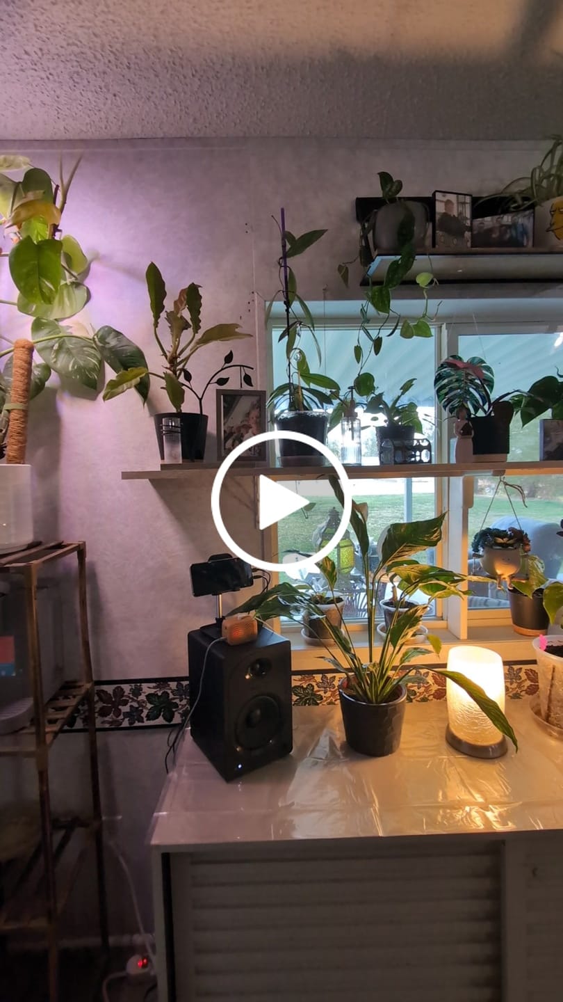 Customer video review of PlantWave