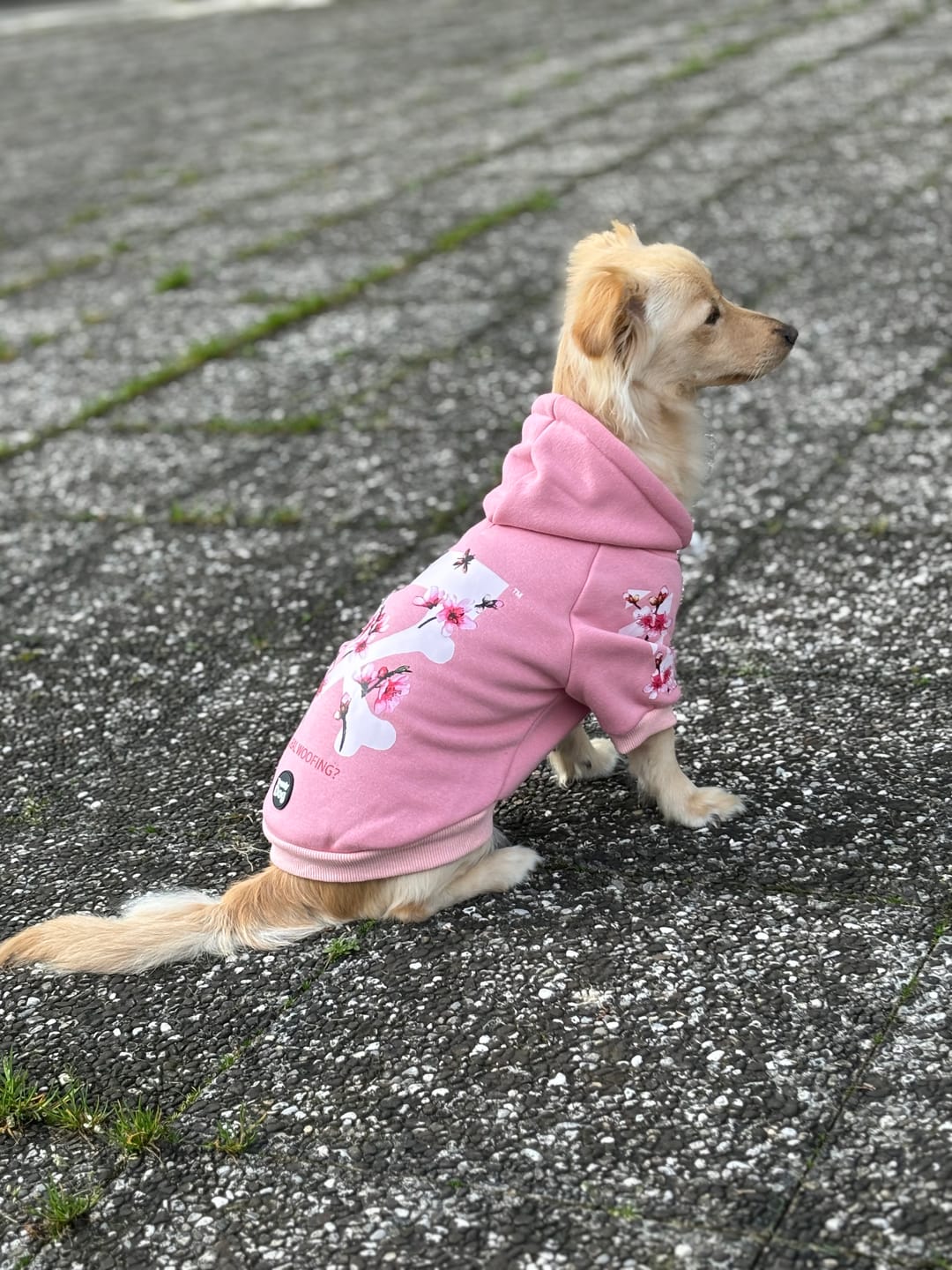 Customer photo review of Felpa "woof" Rosa Edizione Speciale Personalizzabile con nome