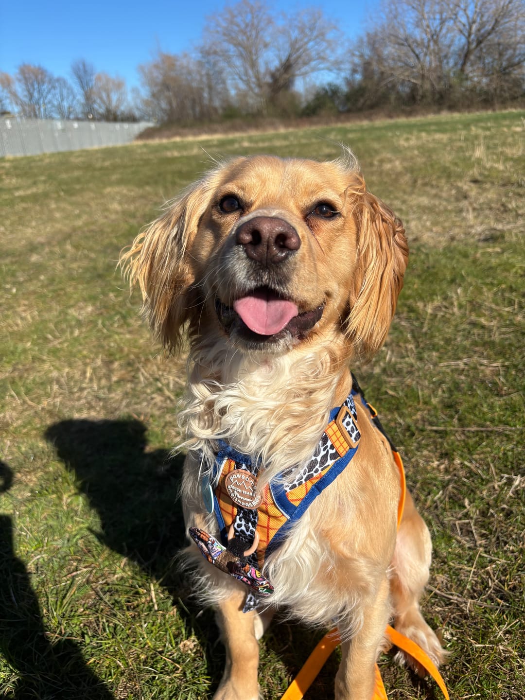 Customer photo review of Disney© Tough Trails™ Harness - Woody