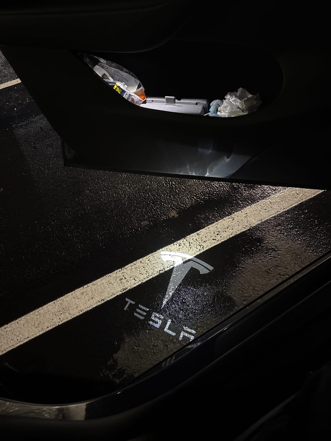 Customer photo review of Projection Light for Tesla Model 3 & Y