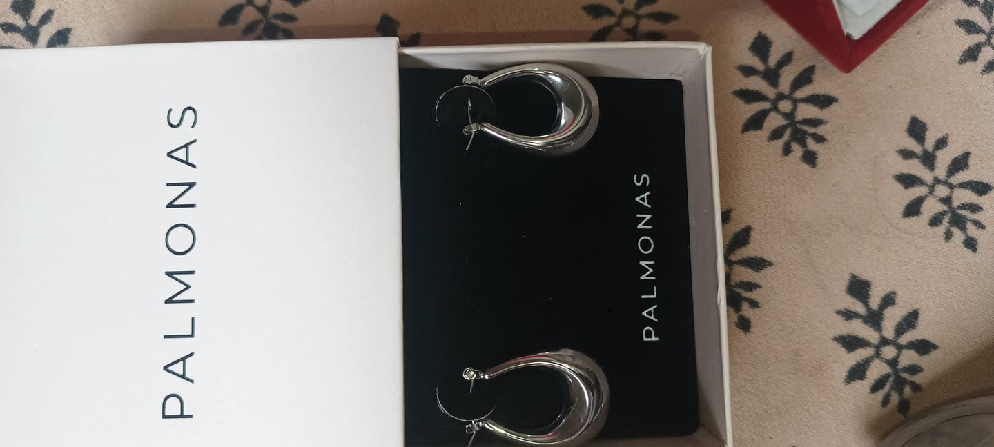 Customer photo review of Elegant Silver Hoop Earrings