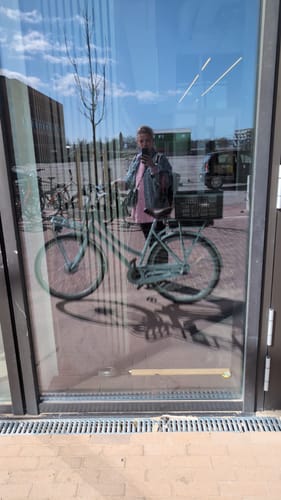 Customer photo review of E-Cargo N3