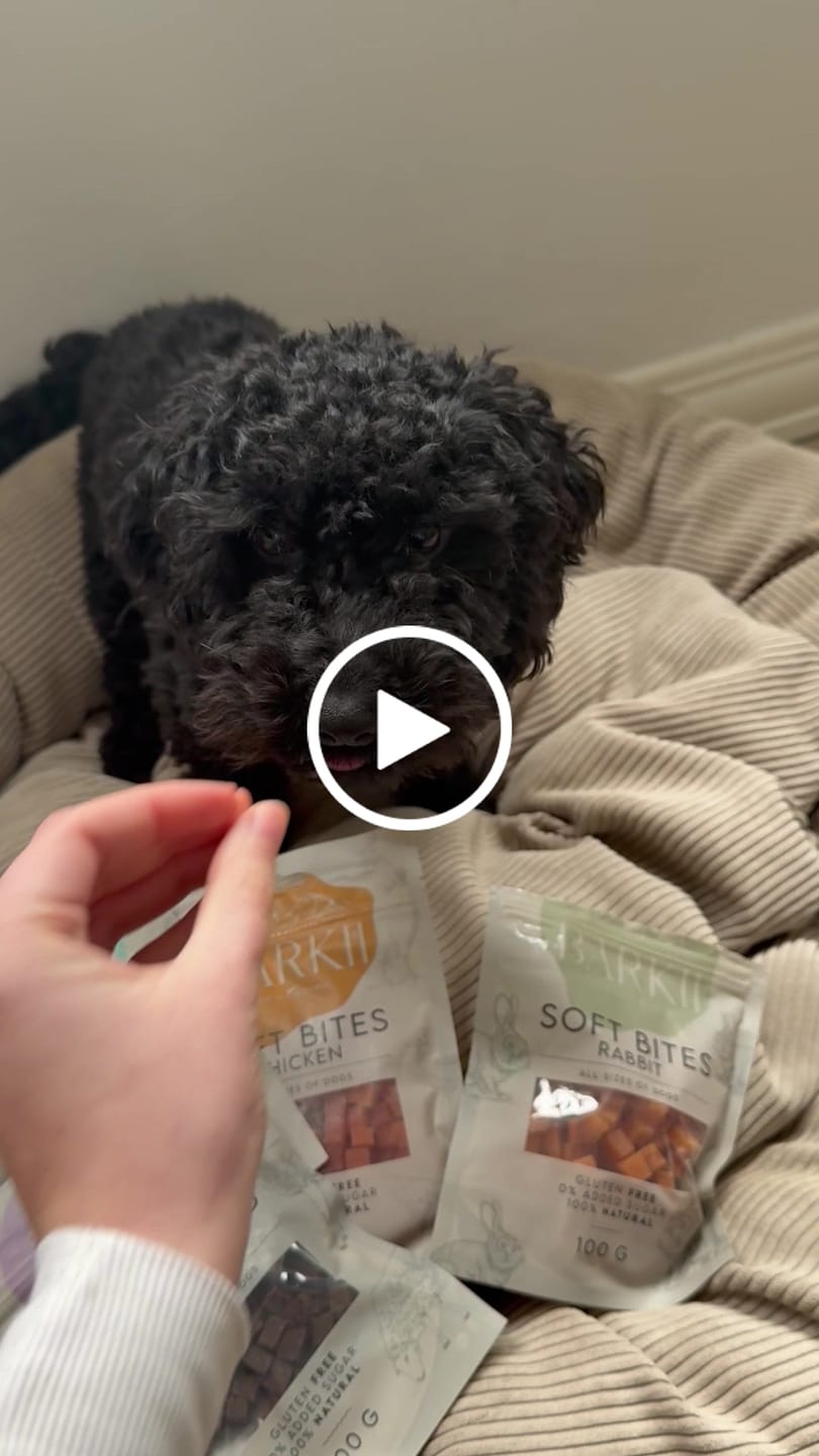 Customer video review of Barkii - Bløde godbidder 12 poser