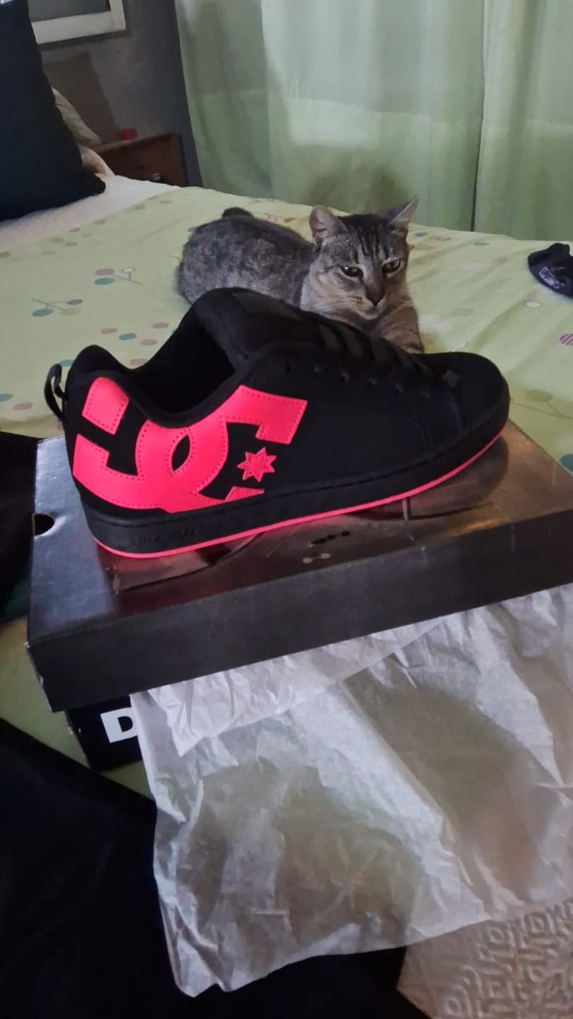 Customer photo review of Zapatillas DC Mujer Court Graffik Negro Fucsia