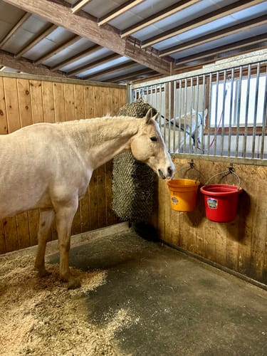 Customer photo review of Hay Chix® 2-Strand Bale Net (Small Bale Net)