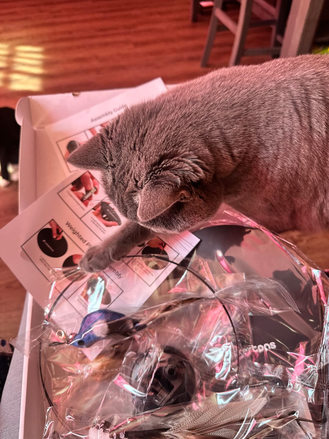 Customer photo review of Interactive Bird Simulation Cat Toy Hybrid Bundle