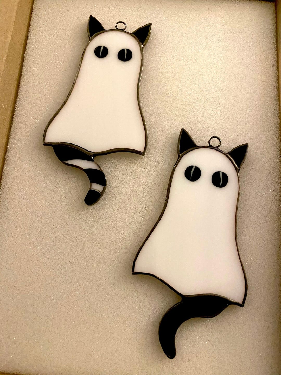 Customer photo review of Cat-Ghosts