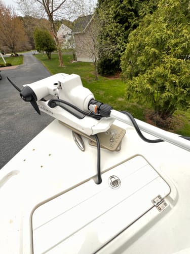 Customer photo review of Sea Swivel