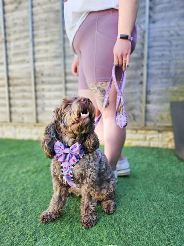 Customer photo review of Pawsome Poop Pocket - Cherry Bomb