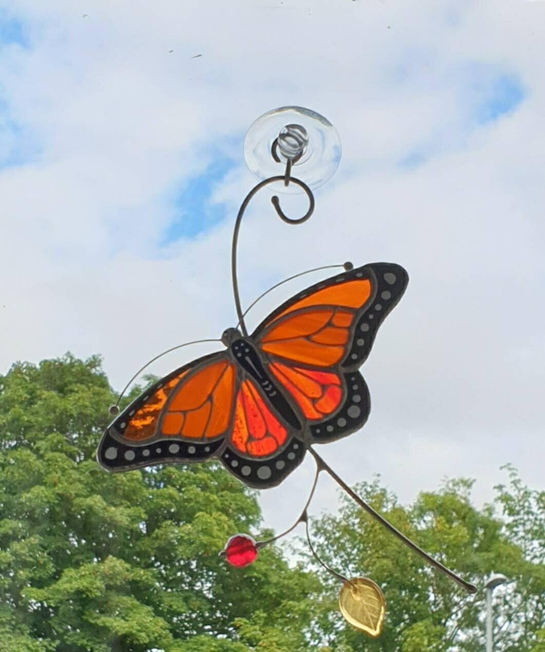 Customer photo review of Monarch Butterfly Top View