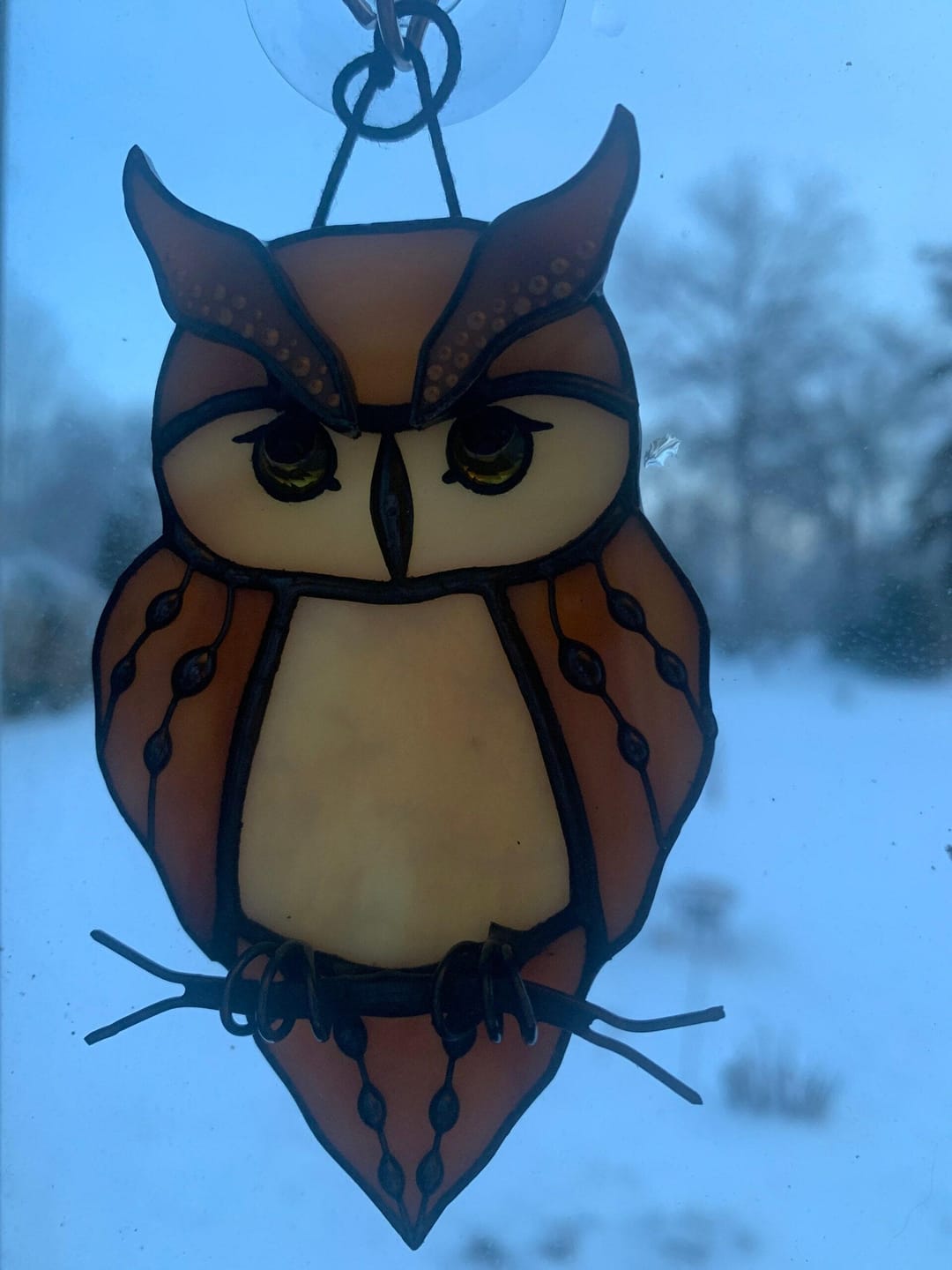 Customer photo review of Great Horned Owl