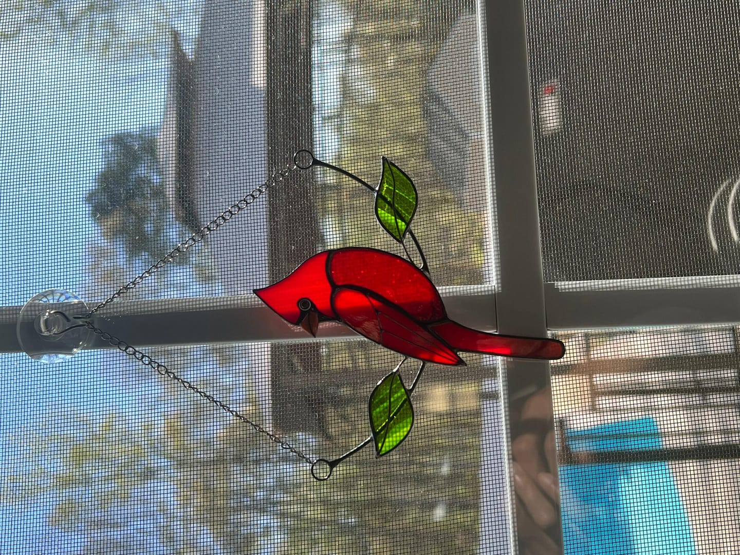 Customer photo review of Cardinal on the Chain