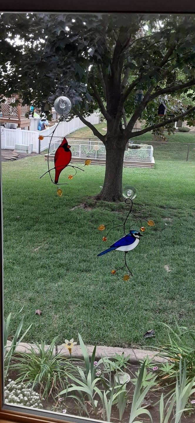 Customer photo review of Blue Jay stained glass bird realistic on a branch