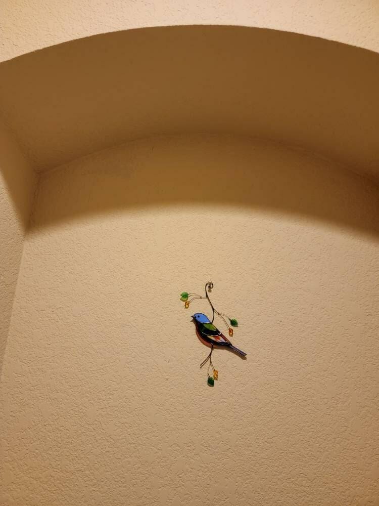 Customer photo review of Painting Bunting Bird