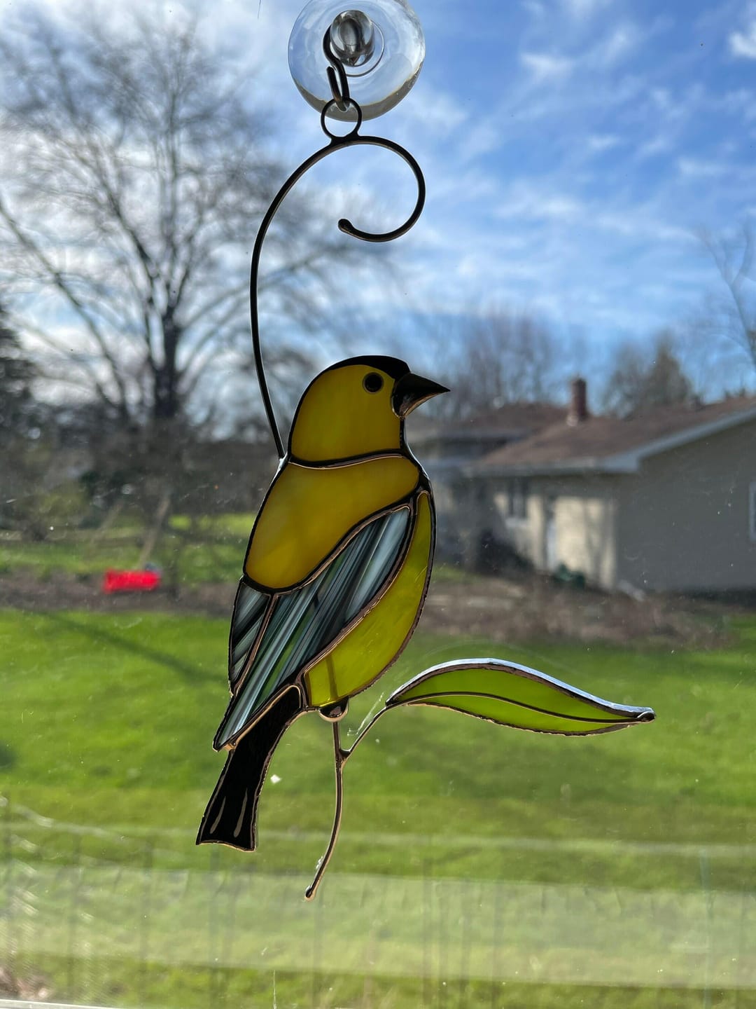 Customer photo review of Goldfinch Bird