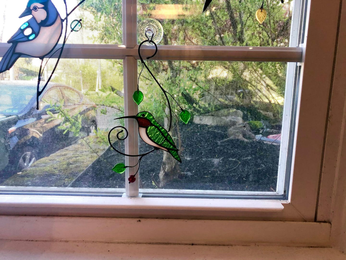 Customer photo review of Green Ruby-throated Hummingbird window hanging