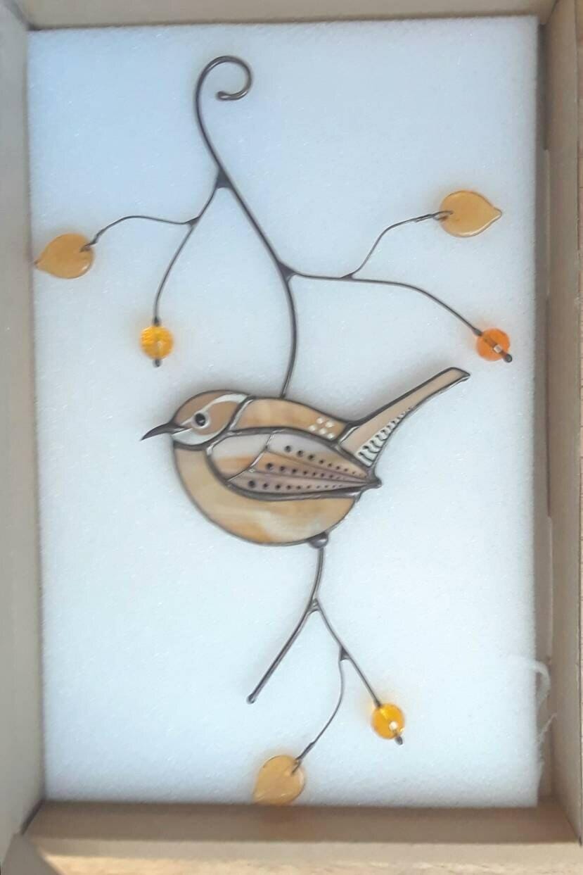 Customer photo review of Carolina Wren