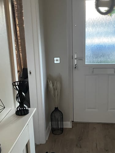 Customer photo review of Tall Faux Pampas Grass - Cream (3 Stems)