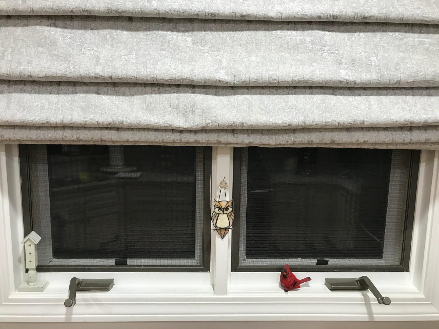 Customer photo review of Great Horned Owl