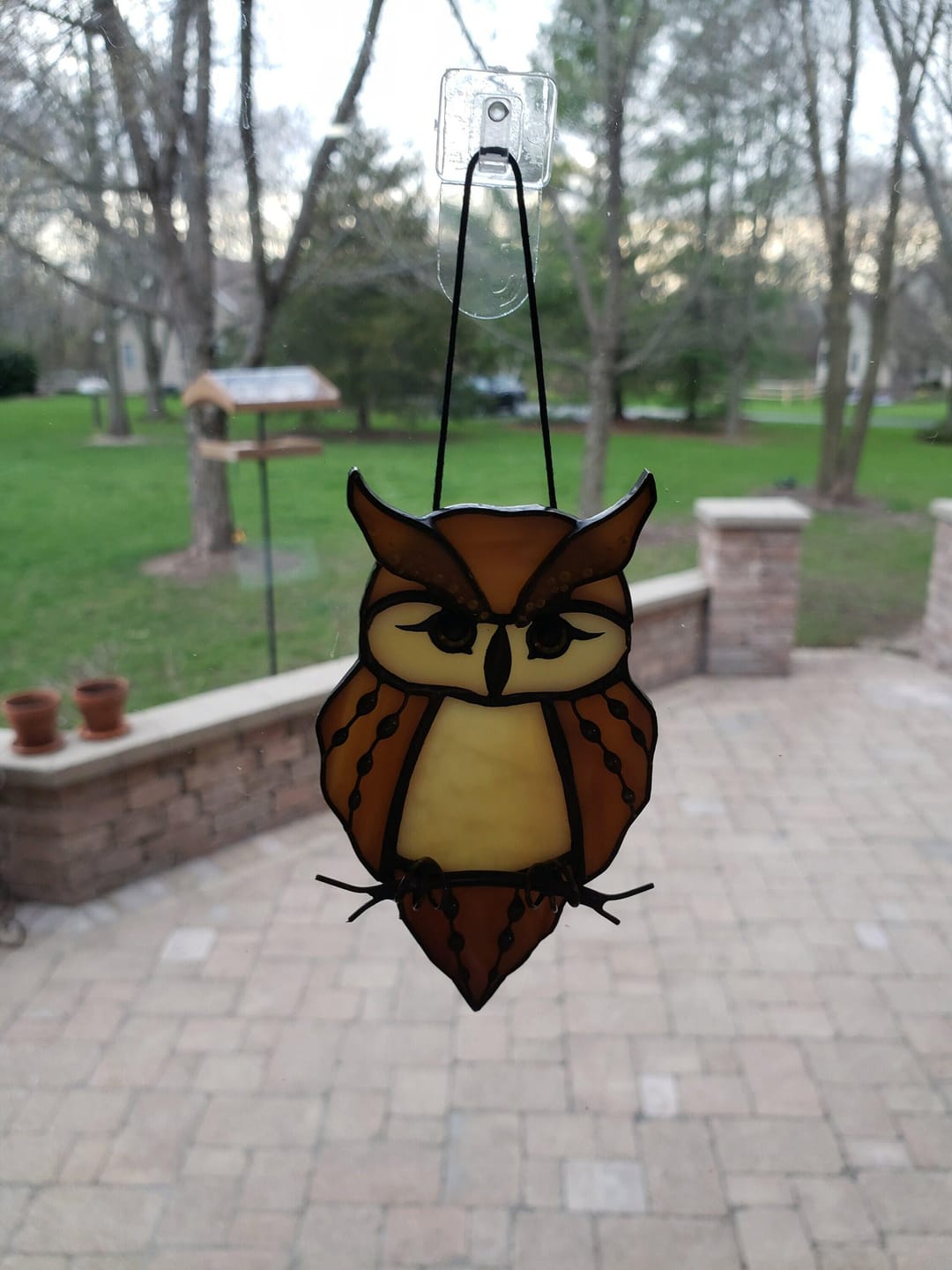 Customer photo review of Great Horned Owl