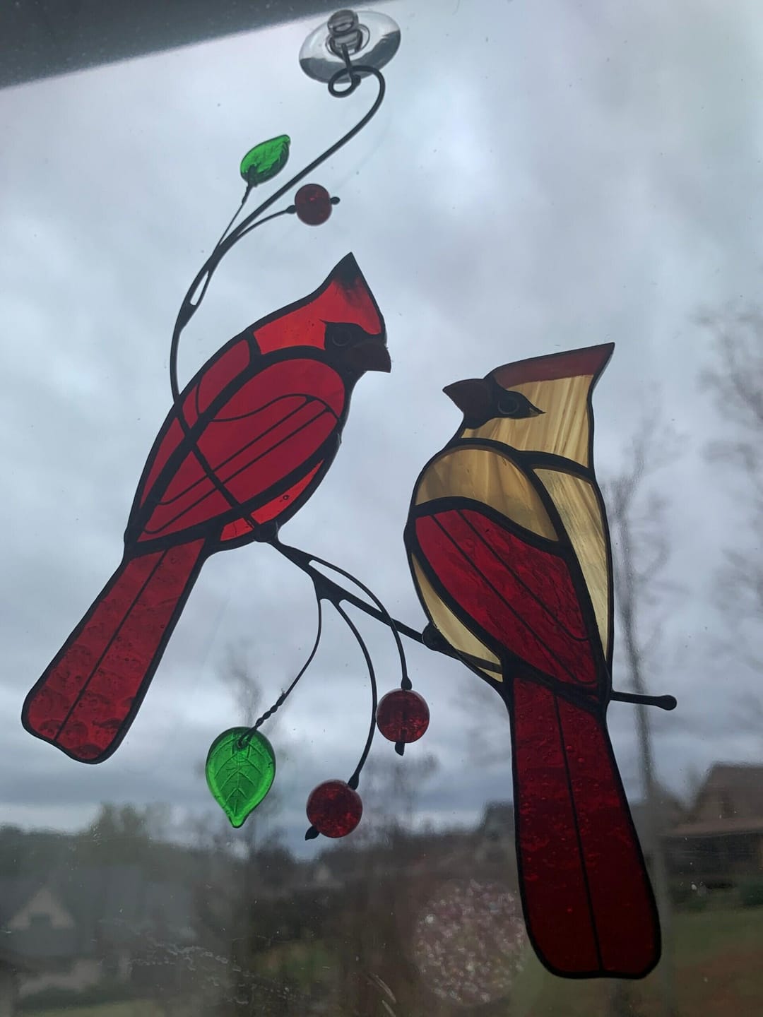 Customer photo review of Hugging Red Cardinals