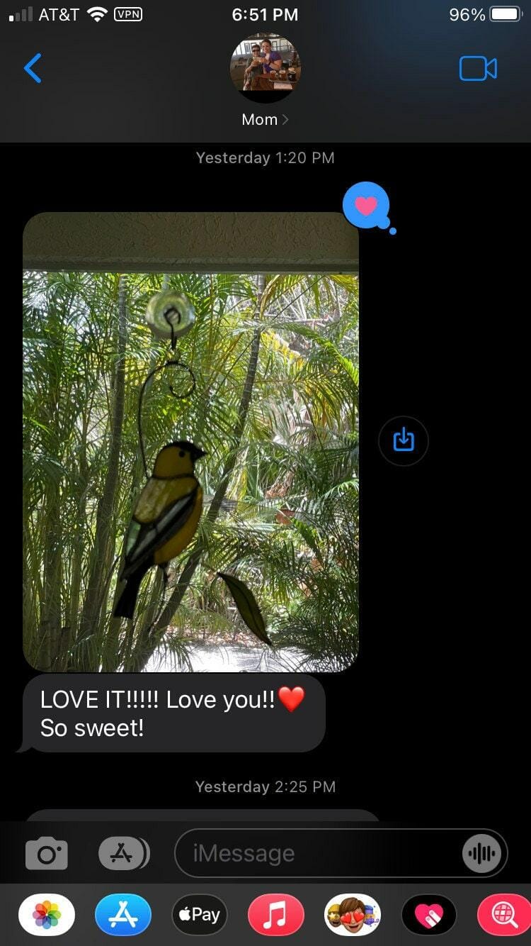 Customer photo review of Goldfinch Bird