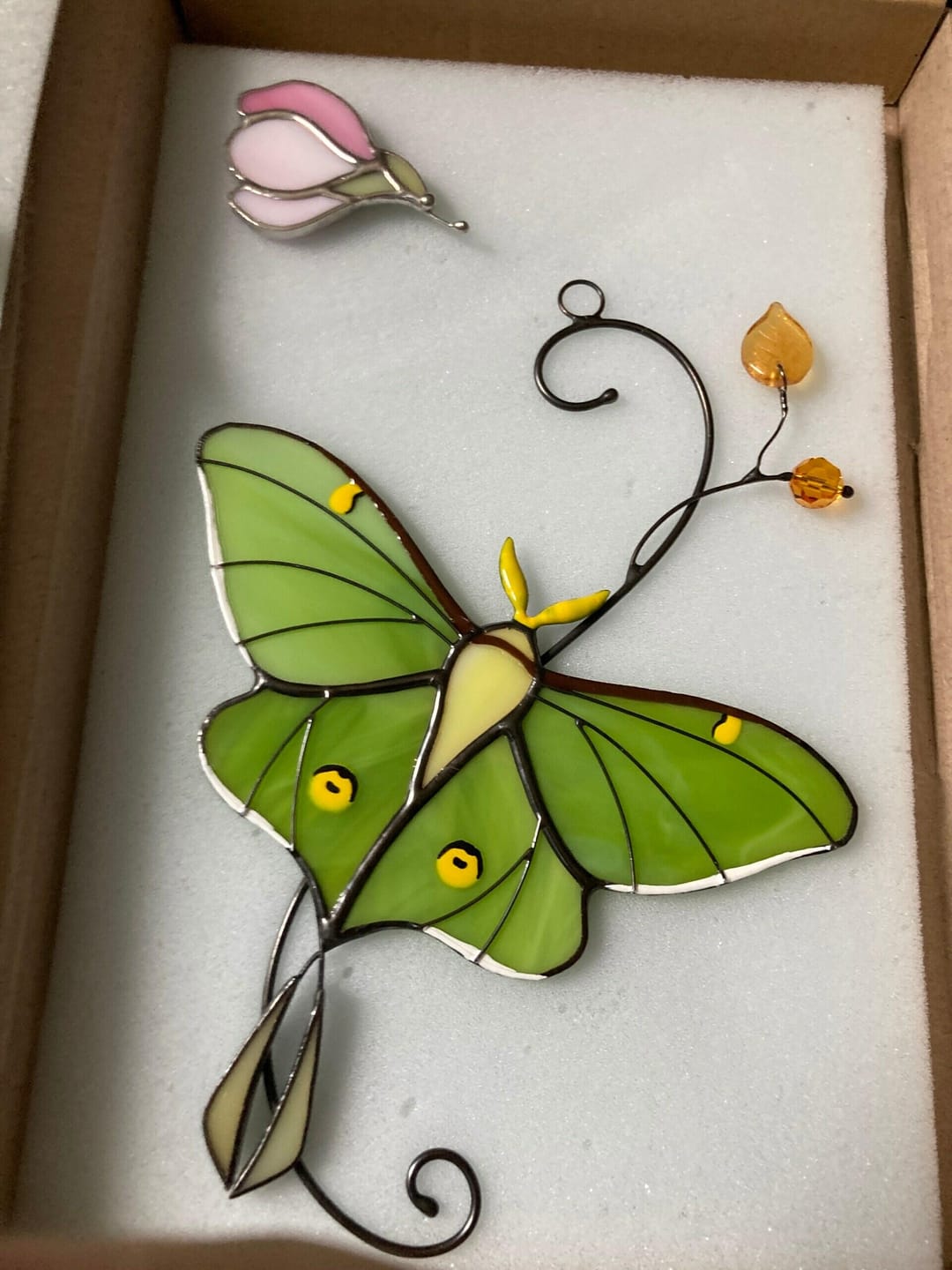 Customer photo review of Luna Moth Butterfly