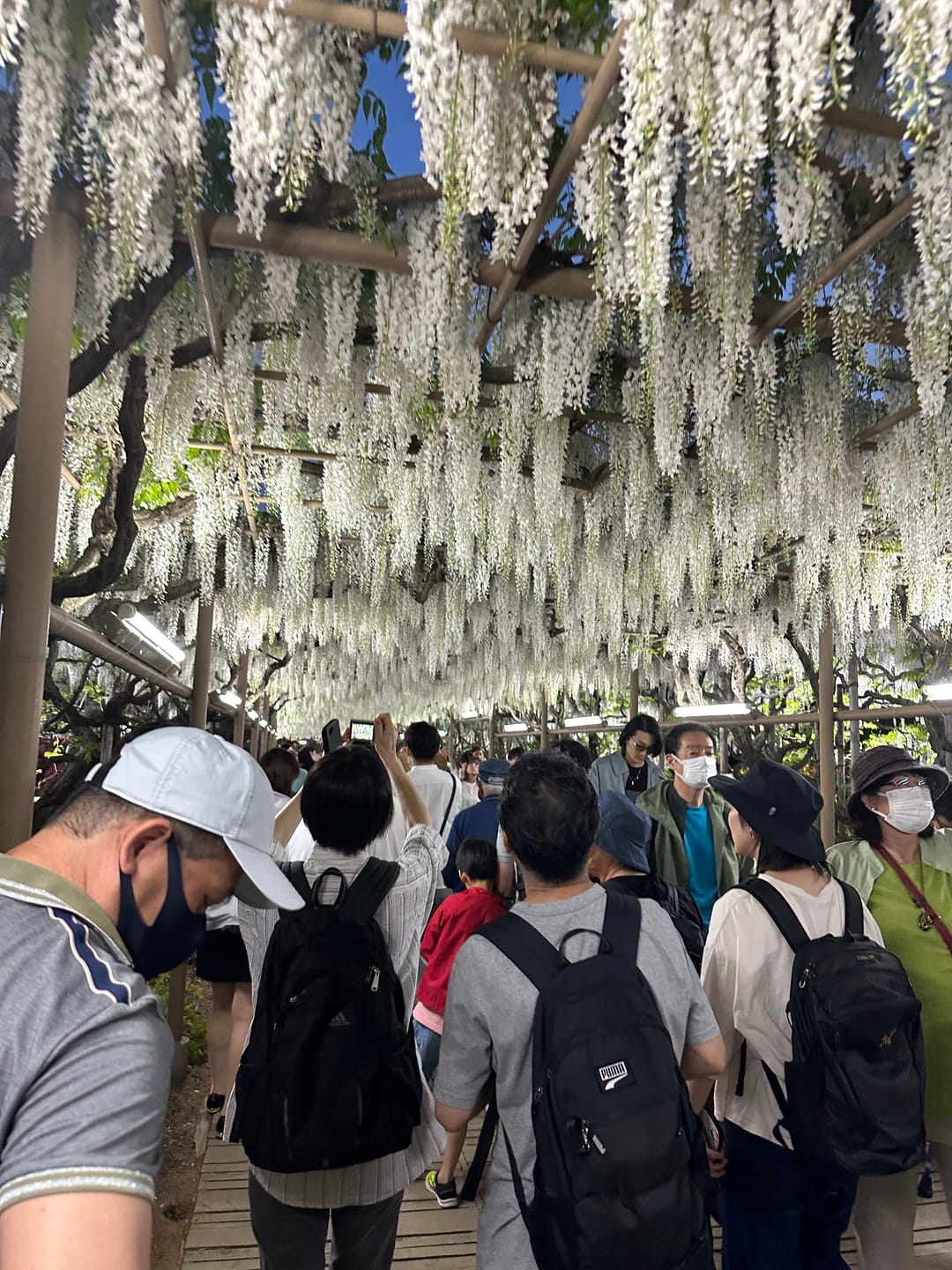 Customer photo review of STD自宅検査｜HIV(エイズ) 検査キット