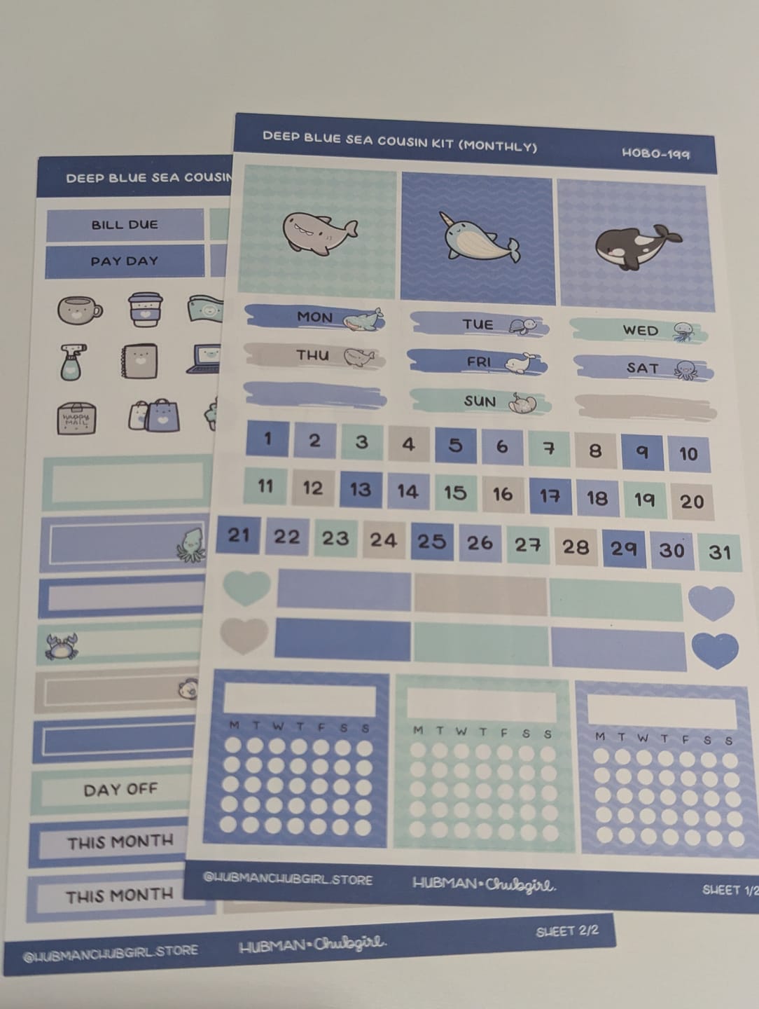 Customer photo review of Deep Blue Sea Theme Hobonichi Cousin Monthly Kit (Set of 2)