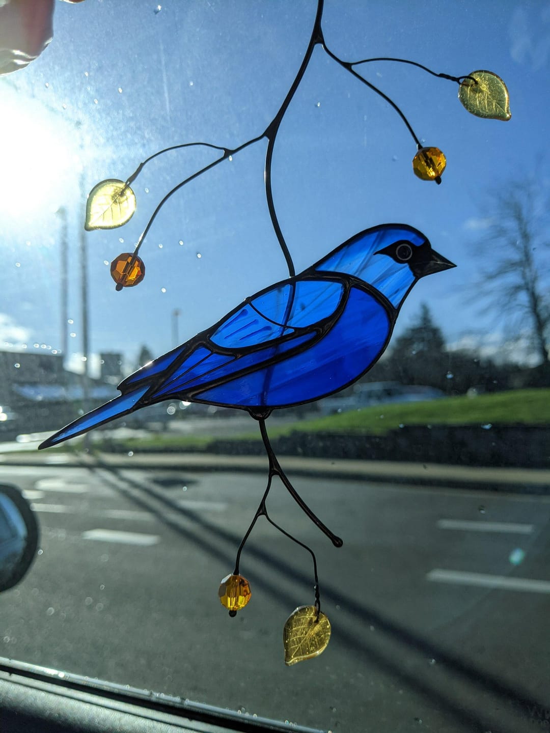 Customer photo review of Indigo Bunting Bird