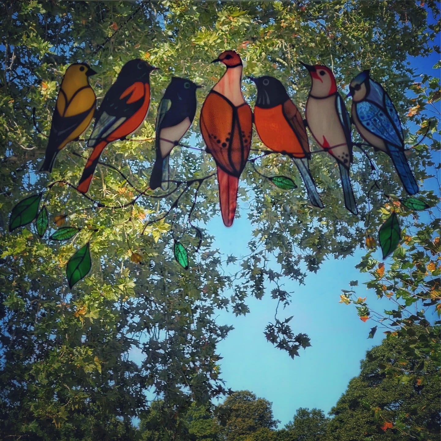 Customer photo review of Four Birds on the Branch