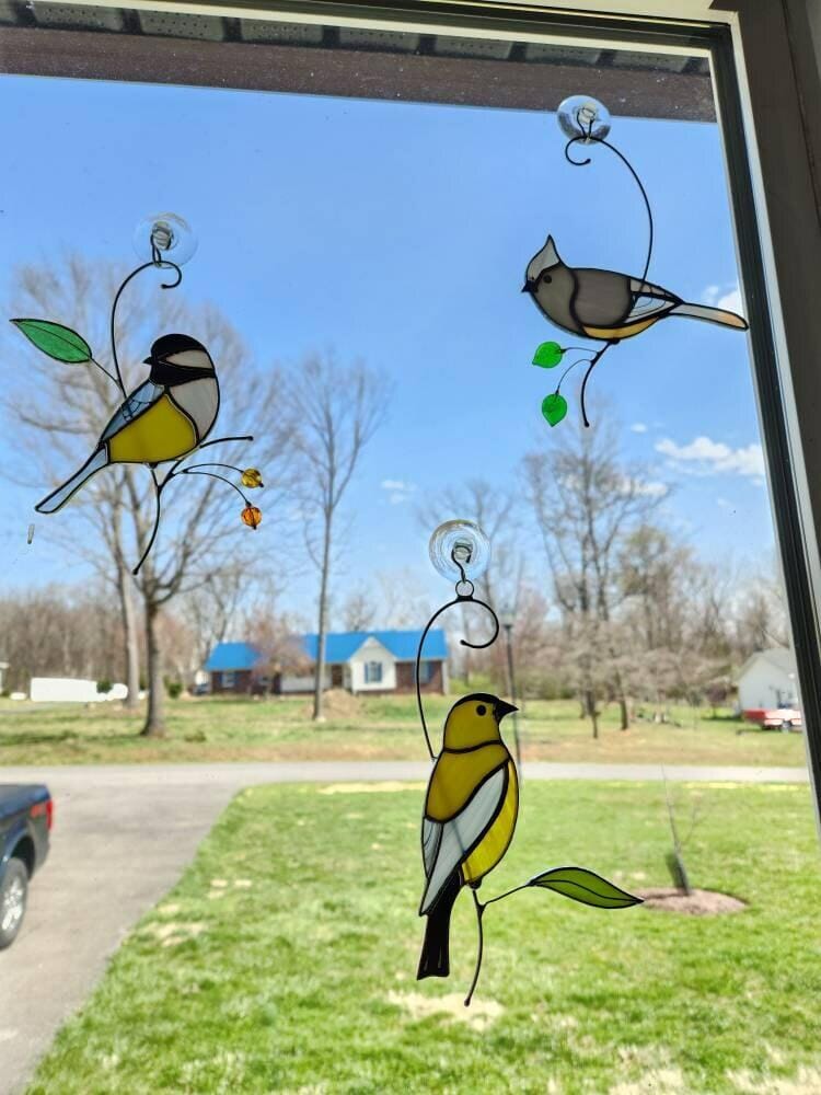 Customer photo review of Goldfinch Bird