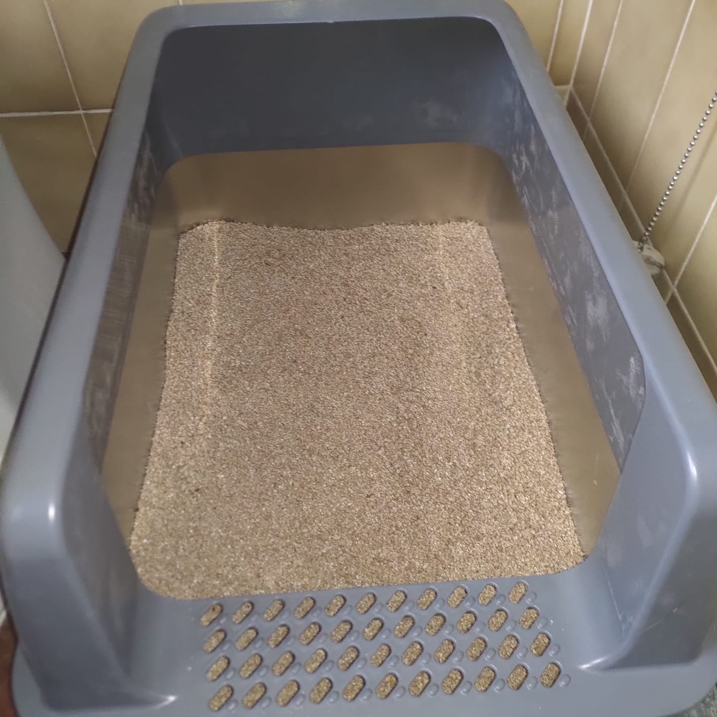 Customer photo review of BORING LITTER - Lettiera in Acciaio INOX