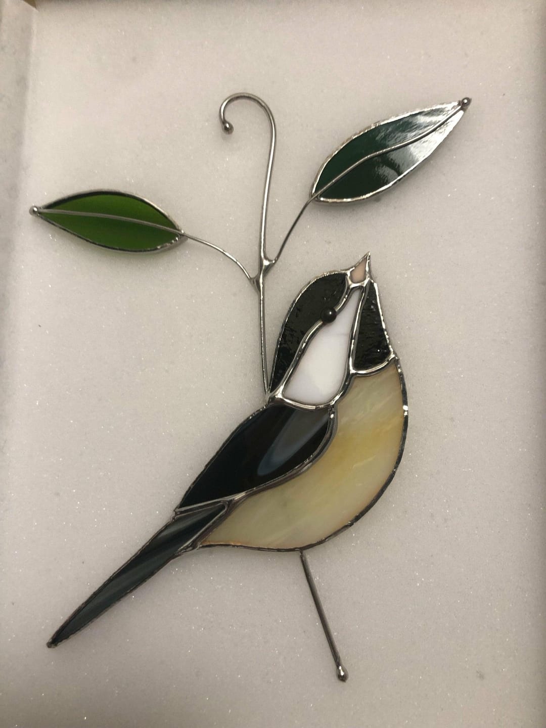 Customer photo review of Black-capped Chickadee
